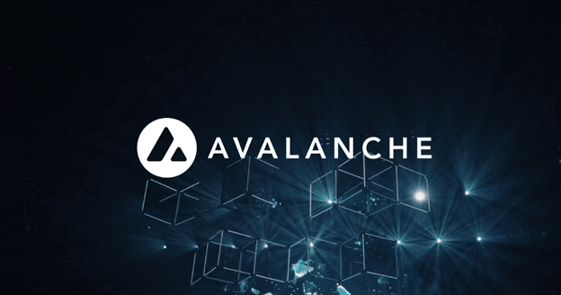 Koalacoin Presale: Tron 및 Avalanche 애호가를 위한 절호의 기회