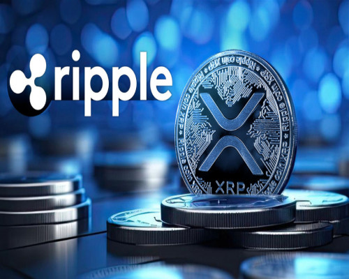 코알라는 Ripple을 제치고 커뮤니티 참여를 능가하며 투자자 열광을 불러일으킵니다.