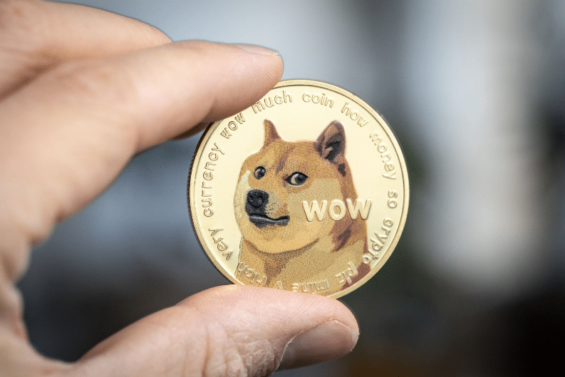 Meme Mania : $DOGE se réveille, $GFOX cible les élites de la cryptographie