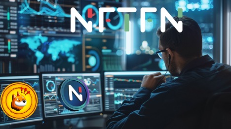 NFTFN Soars: Bonk Whales Predict $20 Surge in Rising Crypto Star