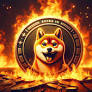 Shiba Inu Burn Rate Explodes, Fueling Anticipation for Shibarium Renaissance