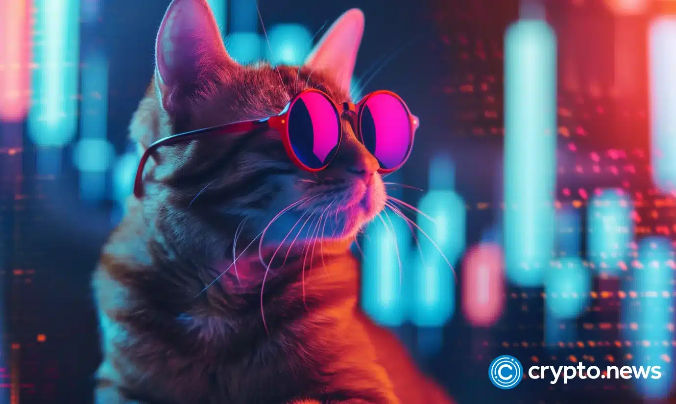 Solana's Meme Coin Frenzy: Cat-Themed Tokens Take Center Stage