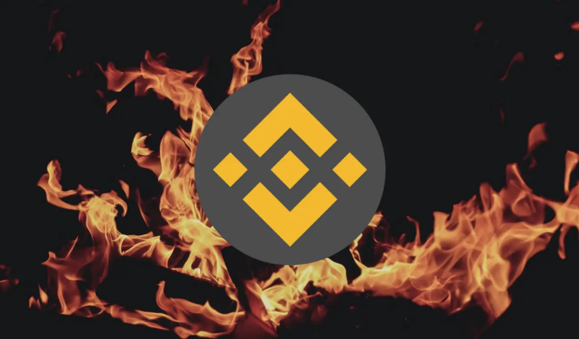 Binance Coin monte plus haut, Raffle Coin lance une plateforme révolutionnaire