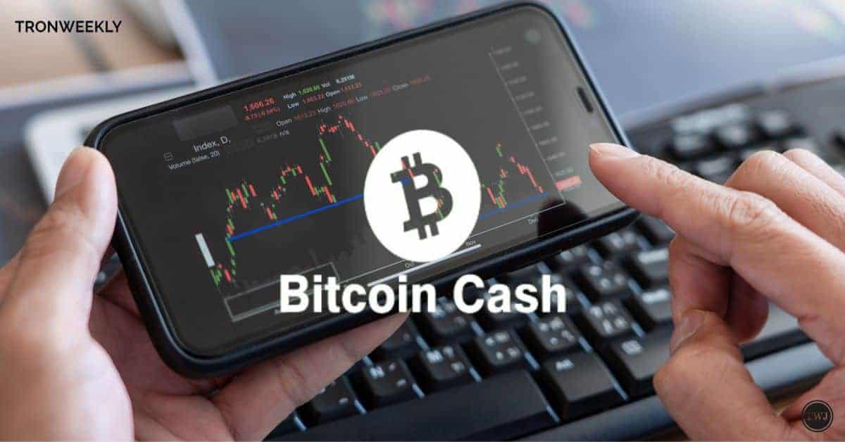 Bitcoin Cash steht kurz vor einem historischen Durchbruch und erreicht beispiellose Höhen