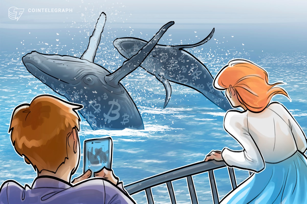 Bitcoin Whales: Shaping the Crypto Market with Unstoppable Influence