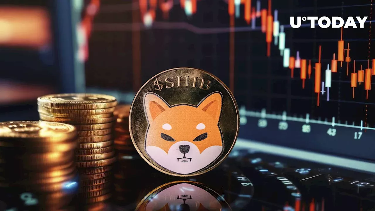 Shiba Inu's Spectacular Rise: Hype, Community, and Innovation Fuel Crypto's Darling