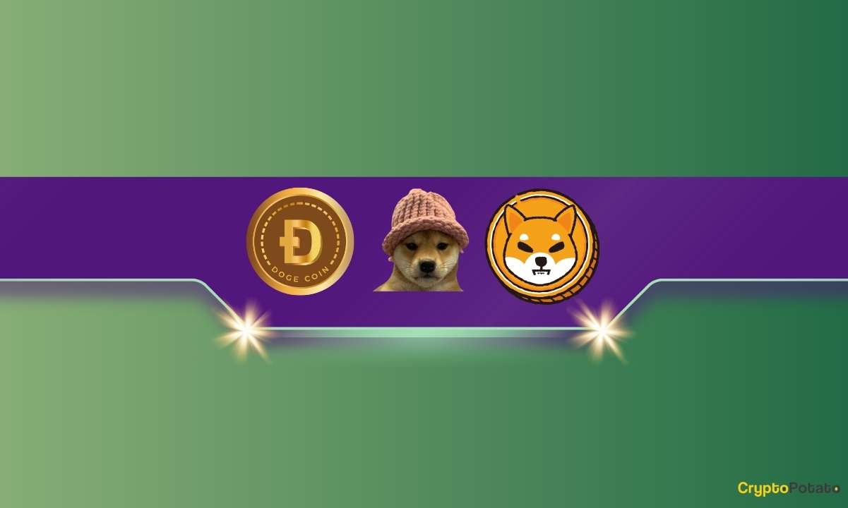 Dogecoin's Rally: Mirage or Moon Shot Towards $1?