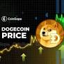 Dogecoin Resurgence: Whale Activity Fuels Meme Coin's Rise to New Heights