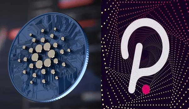 Polkadot and Cardano Offset Token Volatility, while Kelexo Shines as a Lucrative Diversification Play