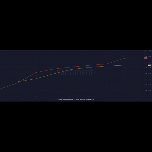 Les Altcoins sont sur le point d'augmenter à nouveau alors que les capitalisations boursières restent stables