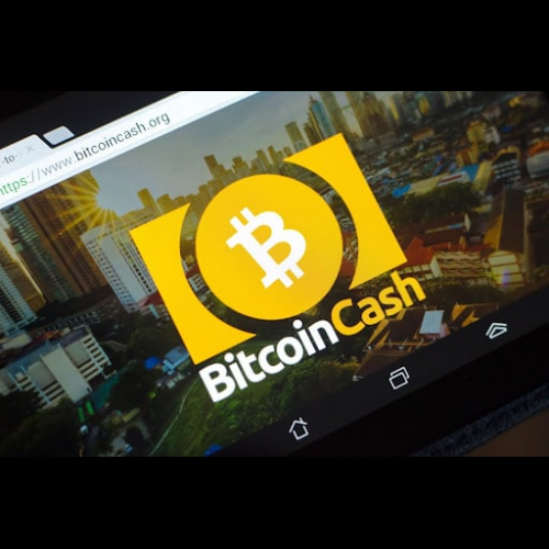 Bitcoin und Bitcoin Cash stürzen ab, da Anleger nach sichereren Wetten suchen