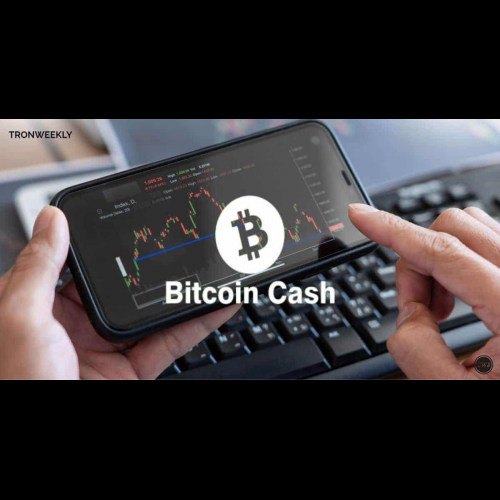 Bitcoin Cash est sur le point de réaliser une percée historique, atteignant des sommets sans précédent