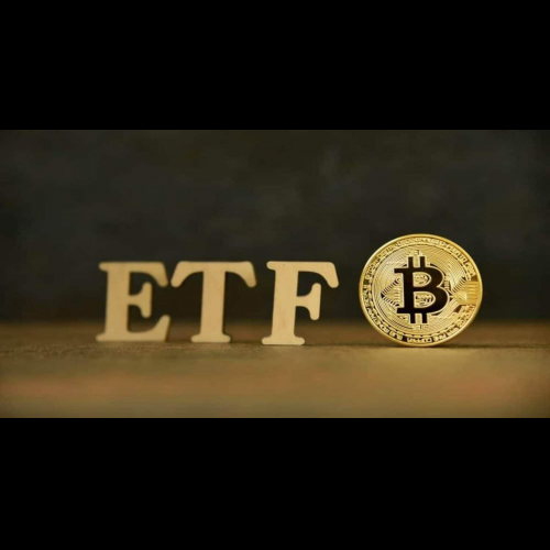 Bitcoin ETF Outflows Stabilize, but Caution Prevails as Genesis Impact Wanes