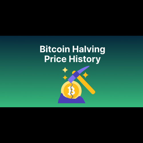 Bitcoin Halvings: Deciphering Historical Impact and Forecasting Future Trajectory