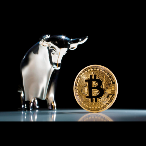 Bitcoin Long-Term Sentiment Hits All-Time High Amidst Market Optimism