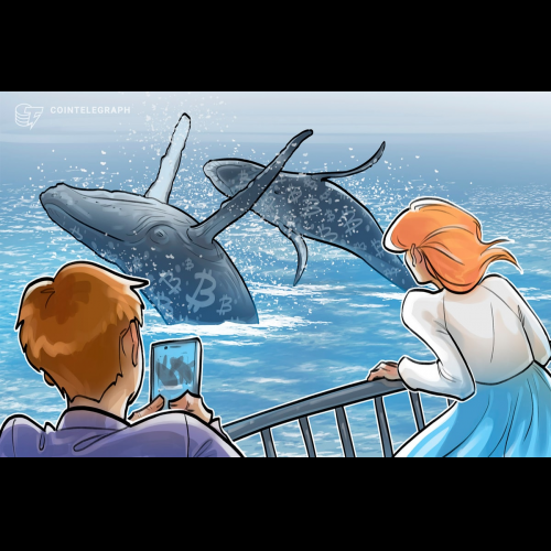 Bitcoin Whales: Shaping the Crypto Market with Unstoppable Influence