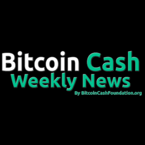 Fondation Bitcoin Cash Actualités hebdomadaires Bitcoin Cash 29 janvier 2024