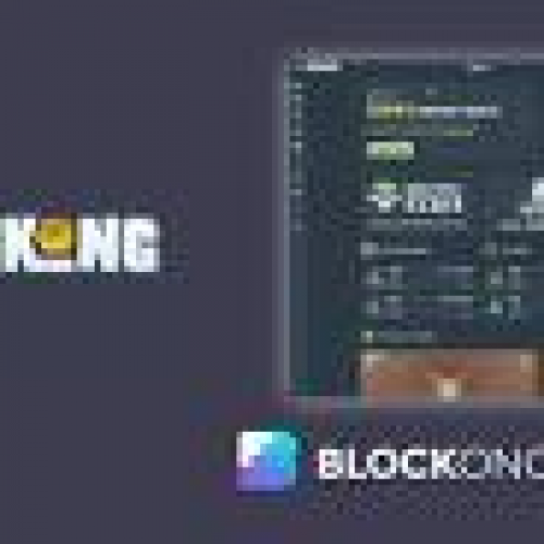 BitKong: The Leading Anonymous Crypto Casino with Provably Fair Games