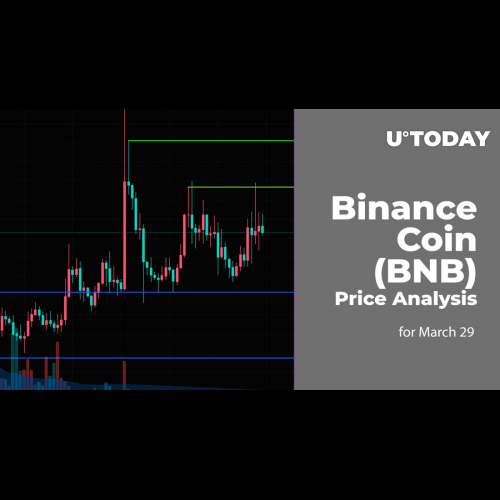 BNB Soars, Defying Market Downturn