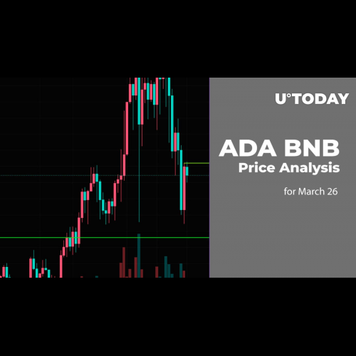 Bulls Charge Crypto Market: ADA and BNB Surging Ahead