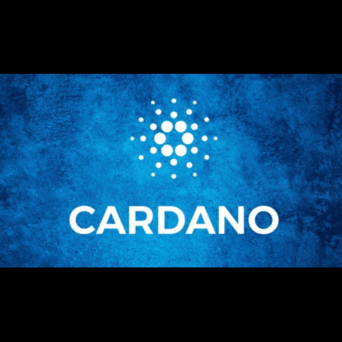 Cardano (ADA), USD Coin (USDC) Hold Steady Amidst Volatility, While Pushd (PUSHD) Presale Sparks Interest