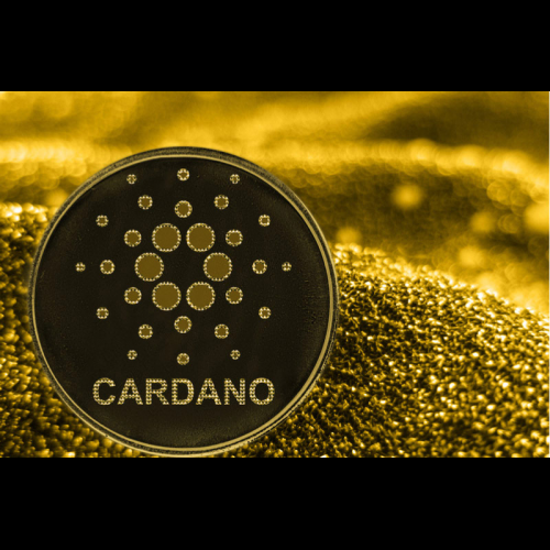 카르다노(Cardano)가 상위 10위권 밖으로 빠져 걱정과 불확실한 미래를 촉발