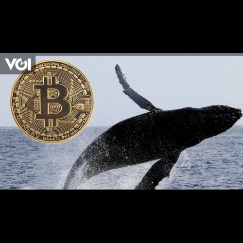 巨大なビットコインクジラが冬眠から目覚め、60億ドルの仮想通貨への転換を明らかに