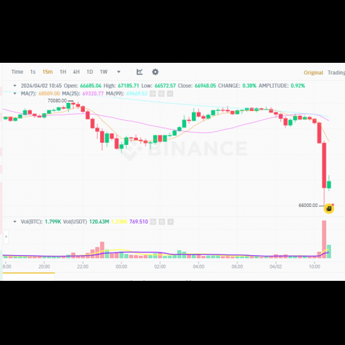 Les prix du marché des crypto-monnaies chutent alors que les liquidations augmentent, le Shiba Inu et le Dogecoin boom