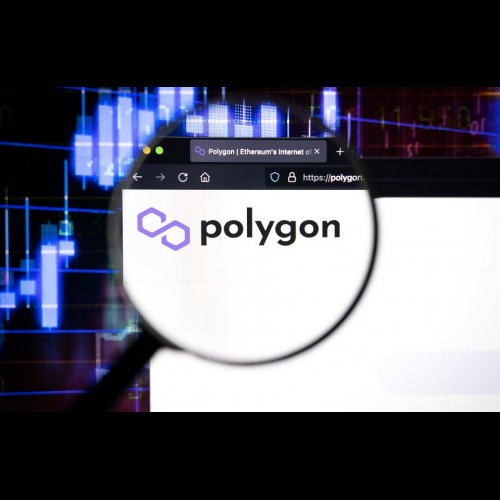 Crypto Market Surges: Avalanche, KangaMoon, and Polygon Lead the Charge