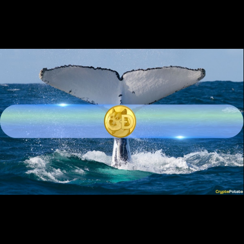 Récupération du Dogecoin : augmentation de l'activité des baleines et gain de dynamique du marché