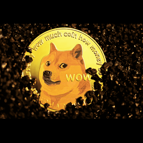 Dogecoin Set to Soar: $1 Target in Sight as Bullish Factors Align