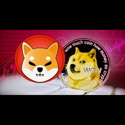 Dogecoin and Shiba Inu: Hypothetical Market Cap Comparison Paints Picture of Potential