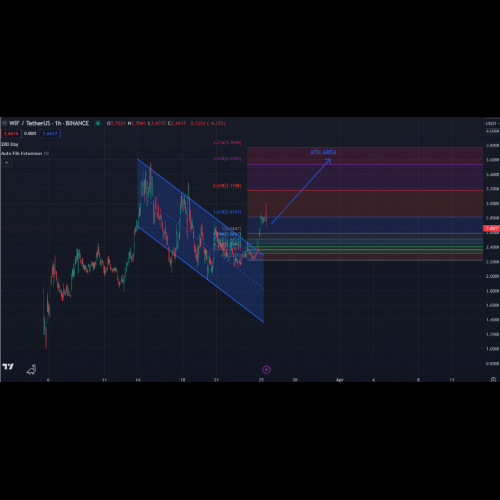 WIF는 30일 만에 700% 급등, Dogecoin과 Shiba Inu는 뒤쳐져 있음