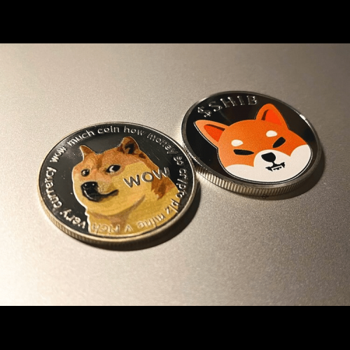 Dynamique du marché après le boom du Dogecoin et du Shiba Inu, la nouvelle star Kelexo émerge