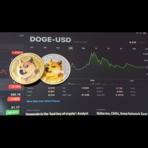 Dogecoin 급증으로 Memecoin 부활, Bitcoin Dog가 추진력을 탈 준비가되었습니다.