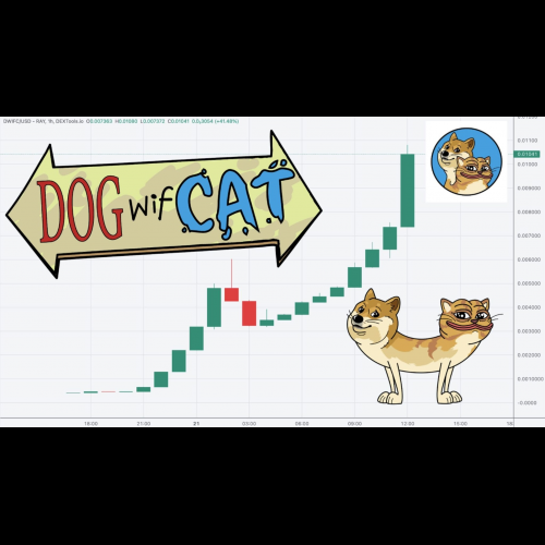 DogWifCat peut-il surpasser Solana Meme Coin ?