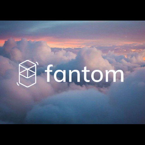 Fantom Soars Amidst Market Volatility, Outshining Meme Coin Rally