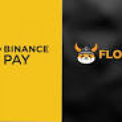 FLOKI, Binance Pay와 통합: 암호화폐 유틸리티의 거대한 도약