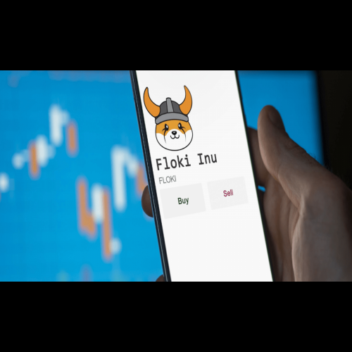 Floki と PEPE: ミームコインは市場の苦境を乗り越えて急騰