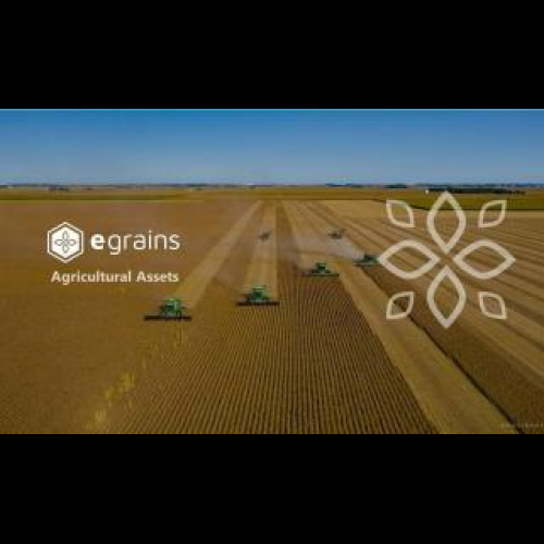 e-Grains schreibt Geschichte als weltweit erstes Unternehmen, das tokenisierte landwirtschaftliche Produkte anbietet (29. Januar)