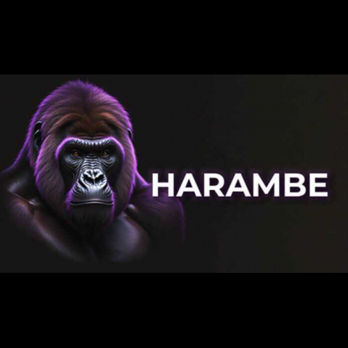 Harambe Token：加密貨幣市場的潛在金礦