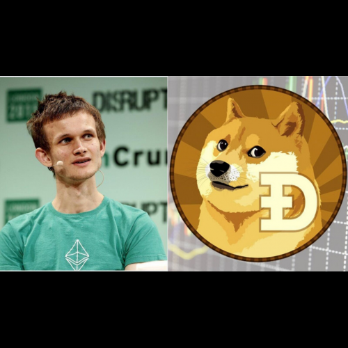 HLX Token Presale: A Chance to Emulate Vitalik Buterin's Dogecoin Success