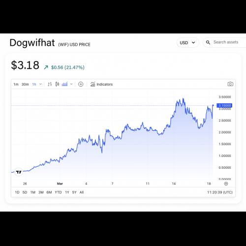 L'emblématique chapeau de chien Solana Memecoin NFT se vend 4,3 millions de dollars