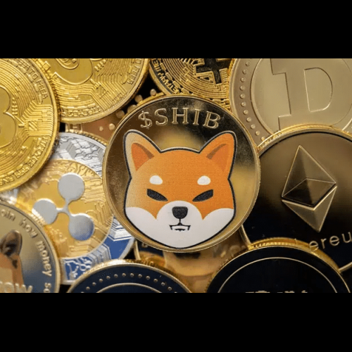 Koalacoin: Das unwiderstehliche Krypto-Phänomen löst FOMO-Raserei aus