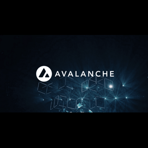 考拉币预售：Tron 和 Avalanche 爱好者的黄金机会