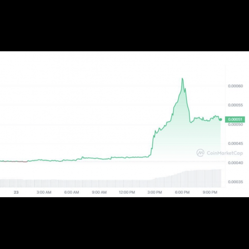 Meme Coin Frenzy: Shiba, SLERF, and BEFE Shake Up Crypto Market