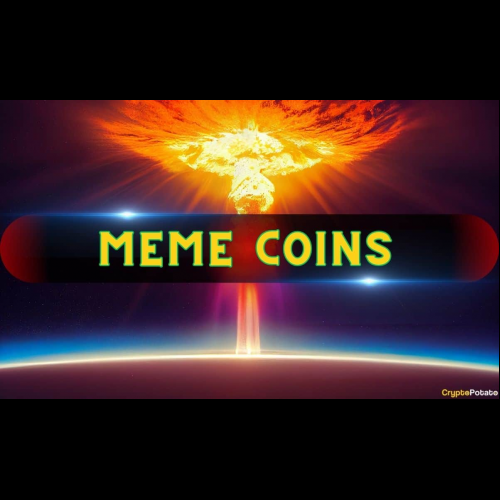 Meme Coin Mania, 투기적 매니아로 암호화폐 시장을 휩쓸다