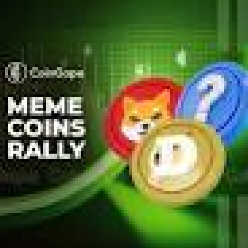 Meme Coin Mania : augmentation de la popularité dans un contexte de volatilité du marché