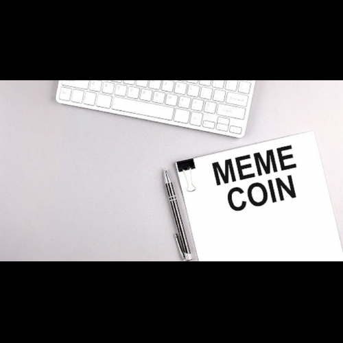 Meme Coins: The Crypto Frontier Where Investments Can Soar into Financial Triumphs