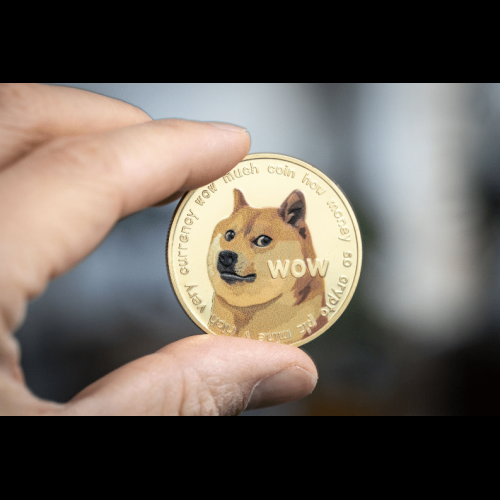 Meme Mania : $DOGE se réveille, $GFOX cible les élites de la cryptographie